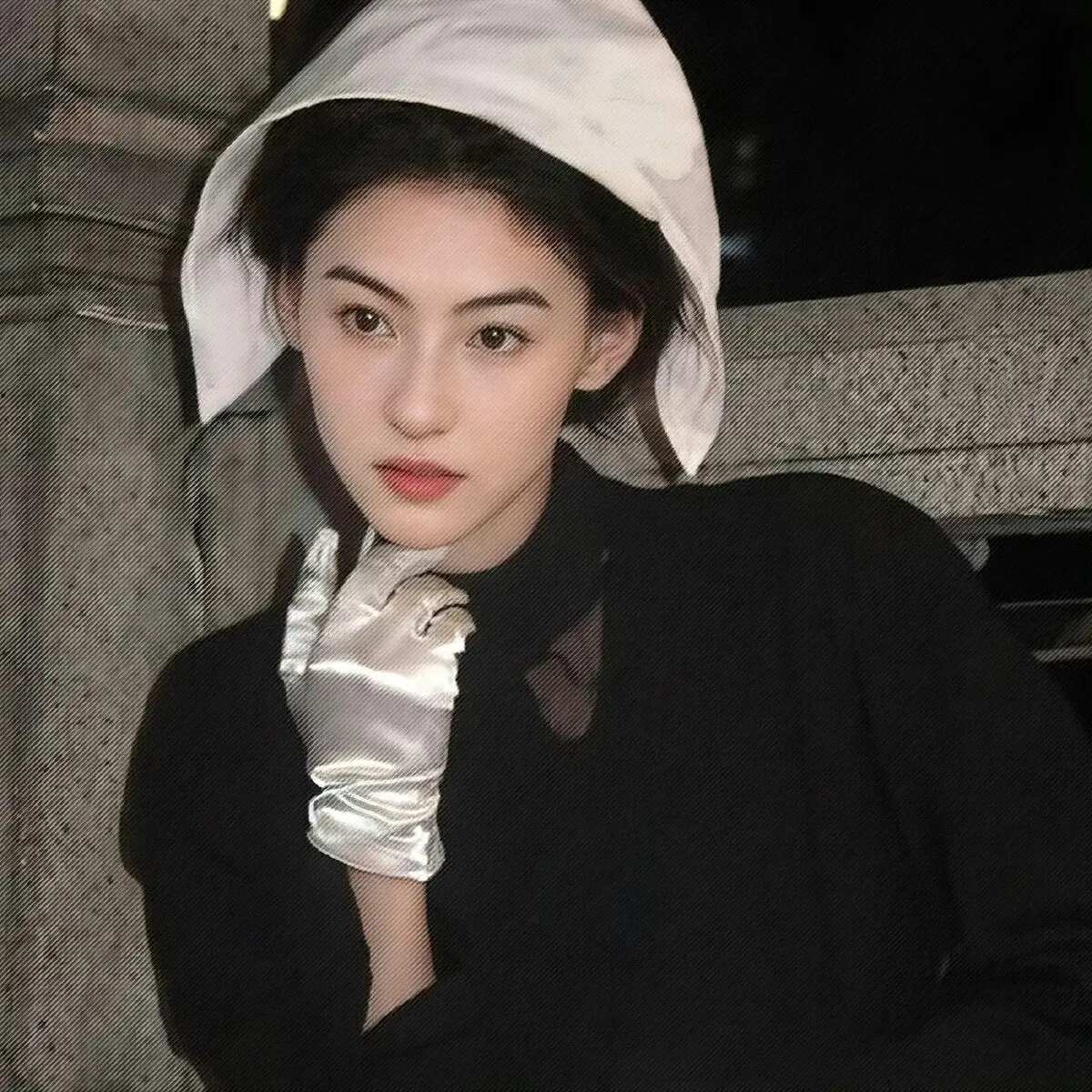 张柏芝氛 