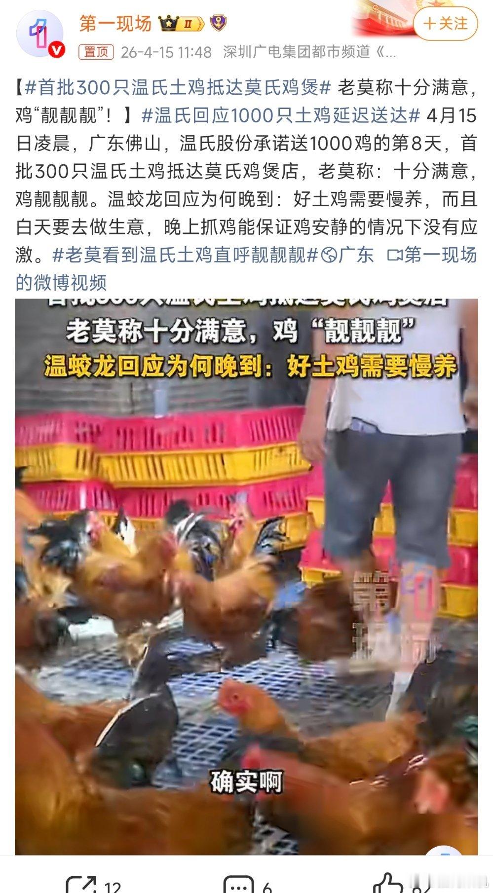 温氏在广东还是挺出名的，其实你们或多或少都买过，只是不知道而已。够日子的土鸡，特