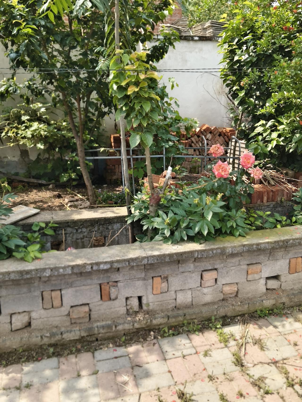 晒图笔记大赛乡村的房子真的很舒服，门口还弄一个大花园里面的花开的真漂亮，就是现在