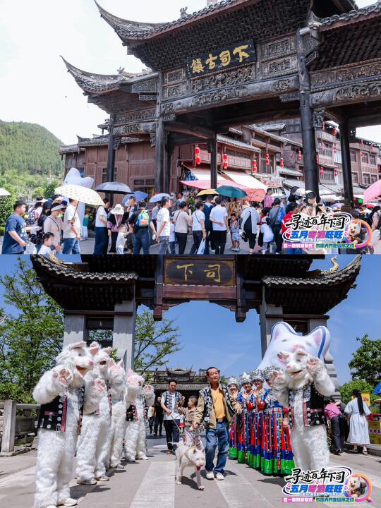 下司古镇萌宠节🐶和毛孩子一起穿越古今