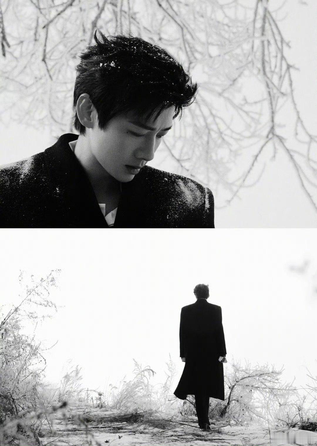 白敬亭微博之夜实景出图 白敬亭雪国王子来了  白敬亭雪国王子来了，期待今晚啦  