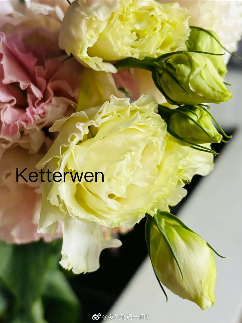 五月十五の花花💐  专栏 · ketterwenの騎行紀錄
