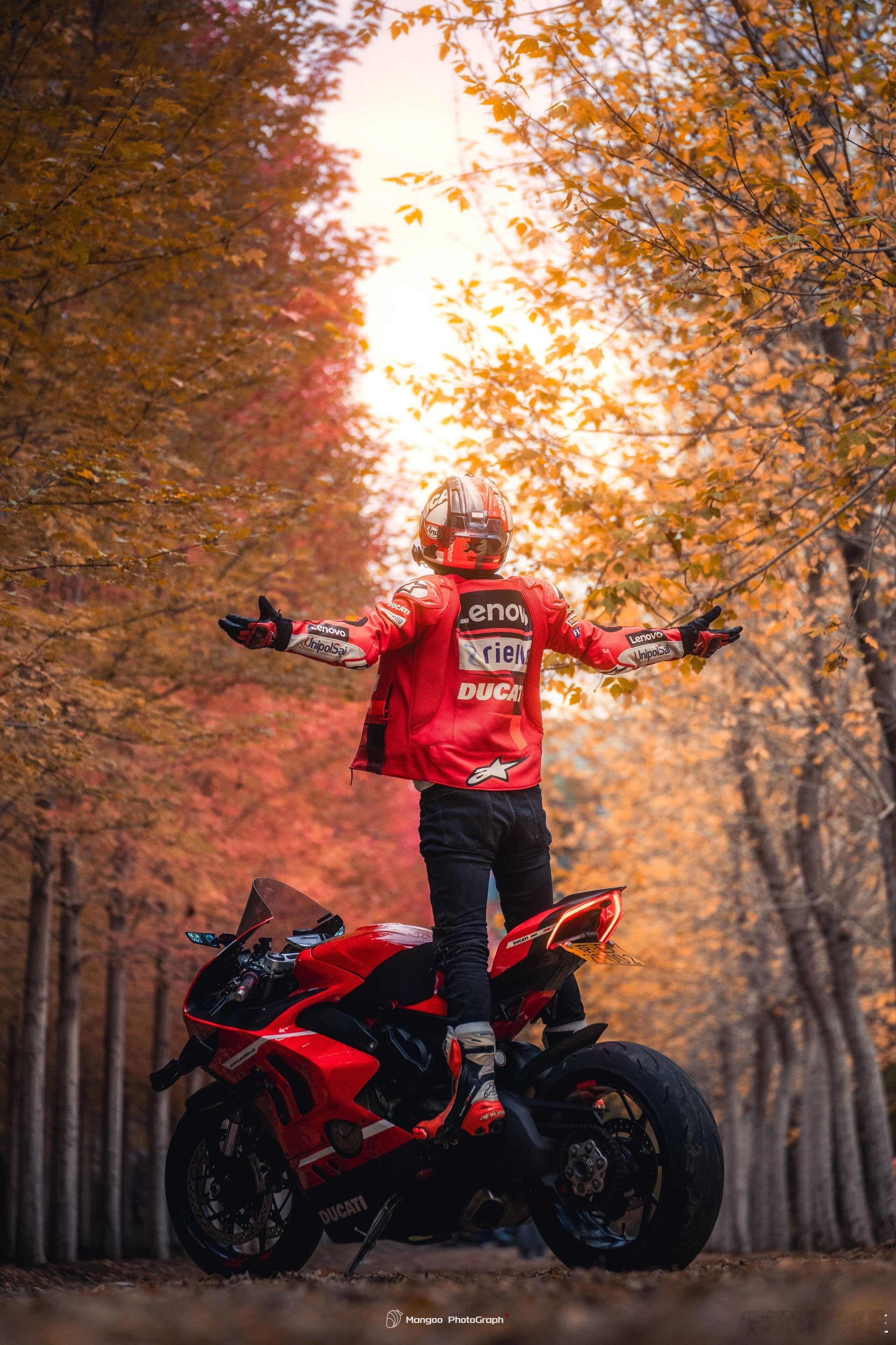 秋风起，引擎鸣。金黄落叶与金属机械共舞，自由在蜿蜒山路延展。摩托车与秋天，都是关