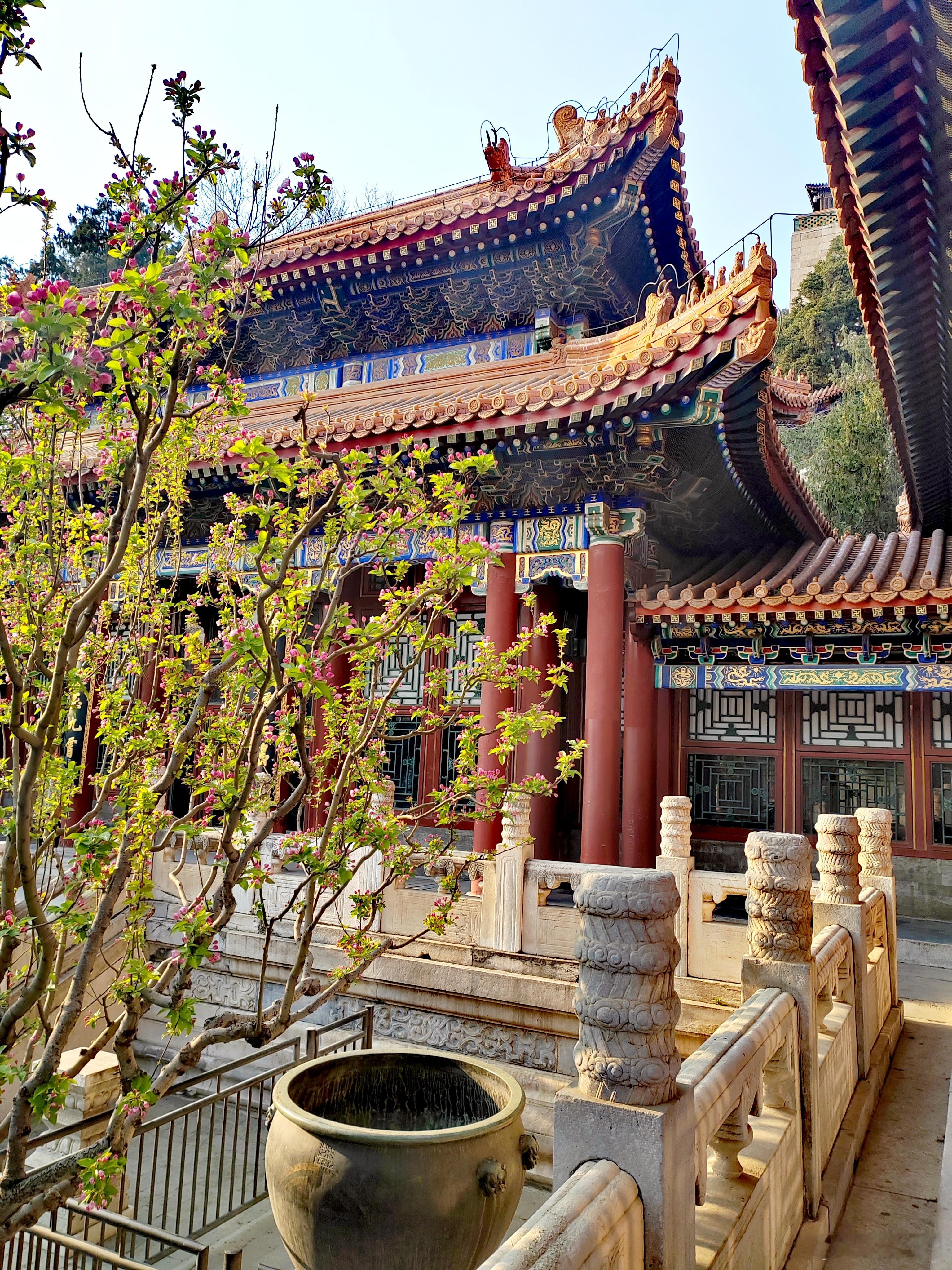 春入御园，花满廊檐。飞檐翘角间，海棠如雪；佛香阁下，晴光漫卷。一砖一瓦皆是岁月，