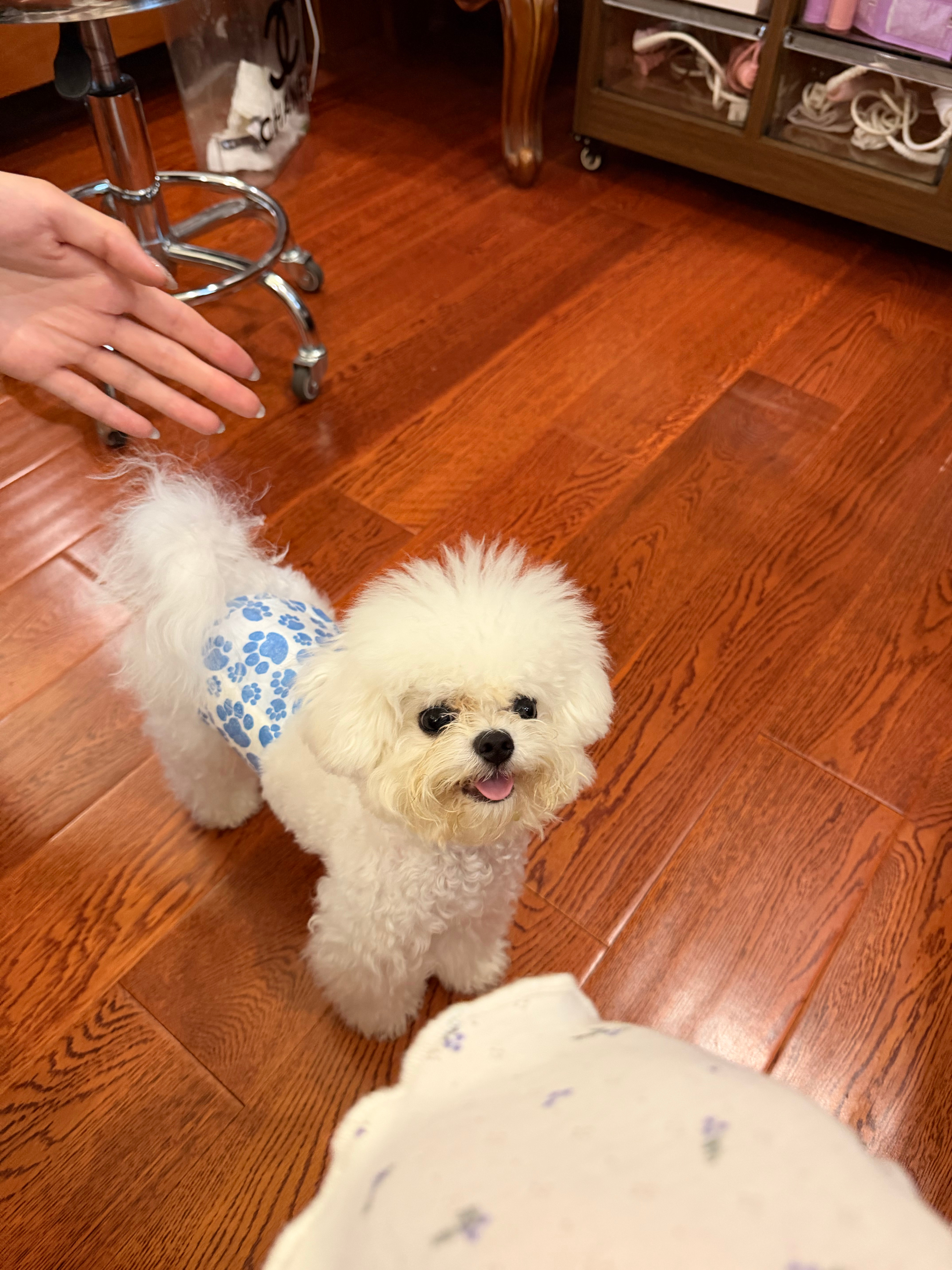 🦀🐶面基成功 ​​​
