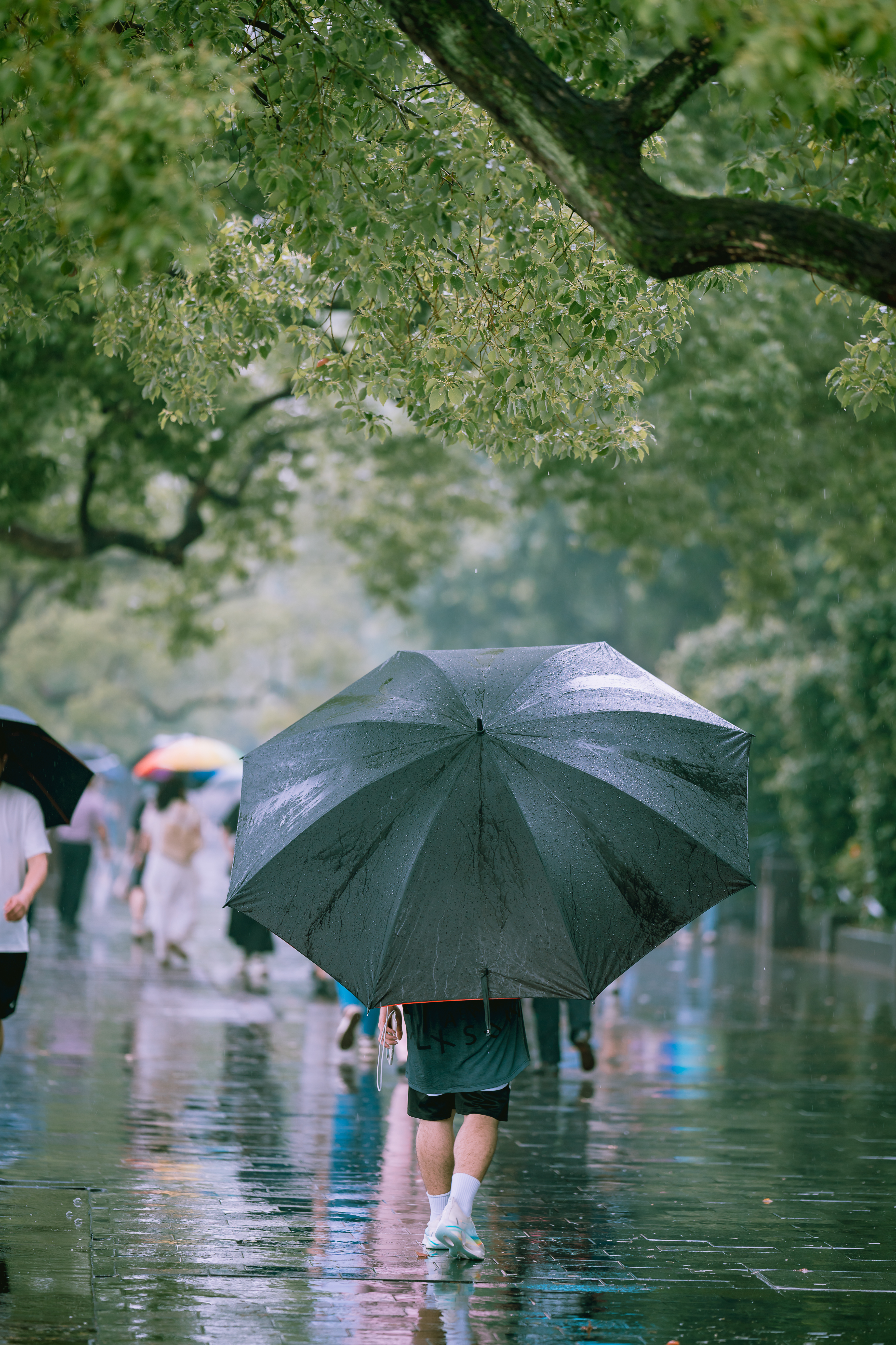 一个雨天 