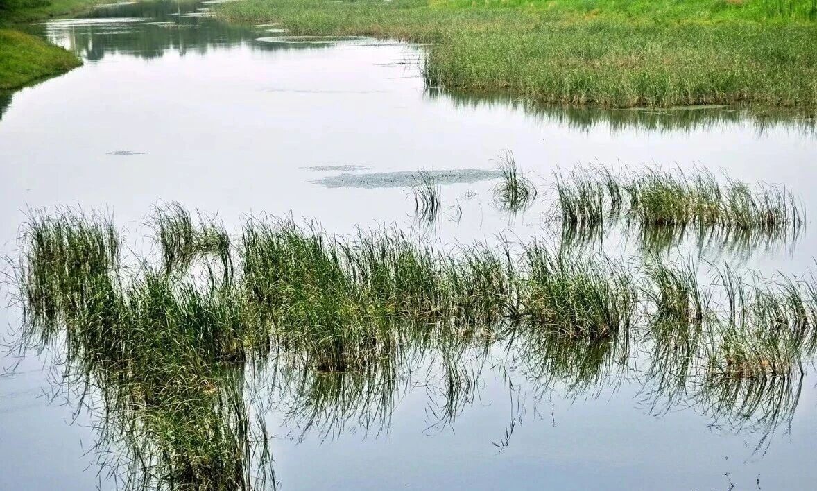 惧则慎，慎则不败。——张居正 