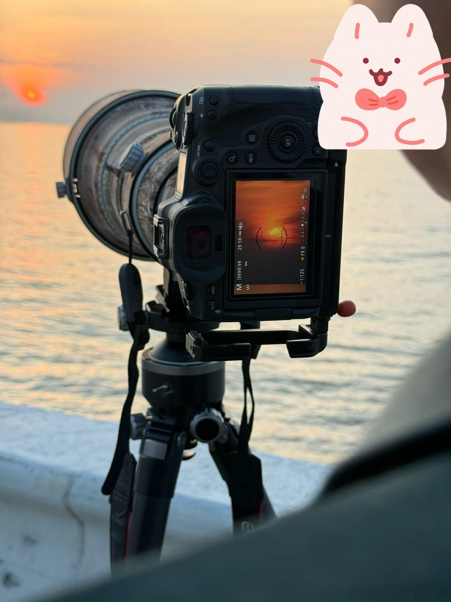 海边的早晨。 