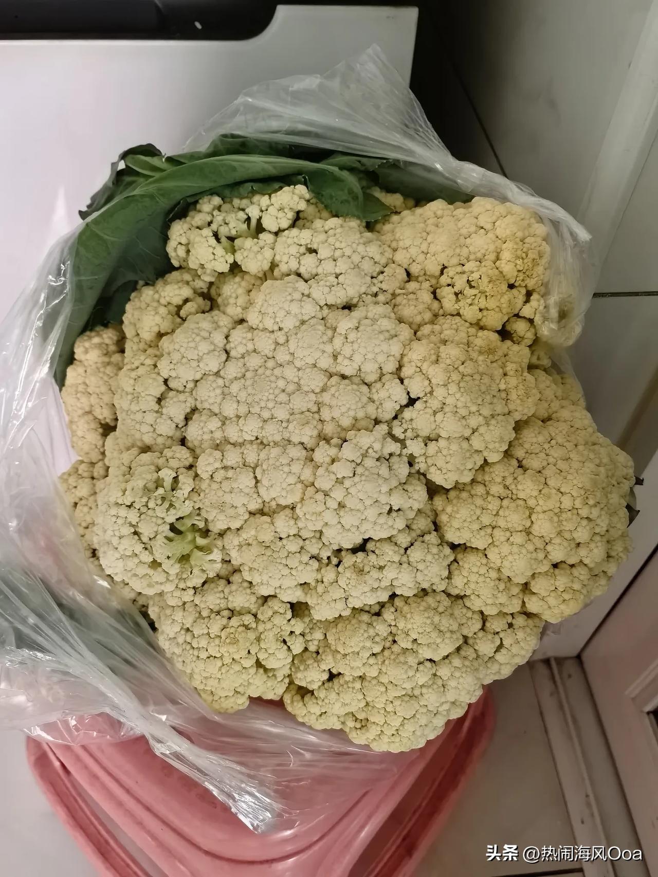果然，牛马年好种田！

金秋十月，水果，蔬菜，大丰收！

早市上，成车的菜花，像