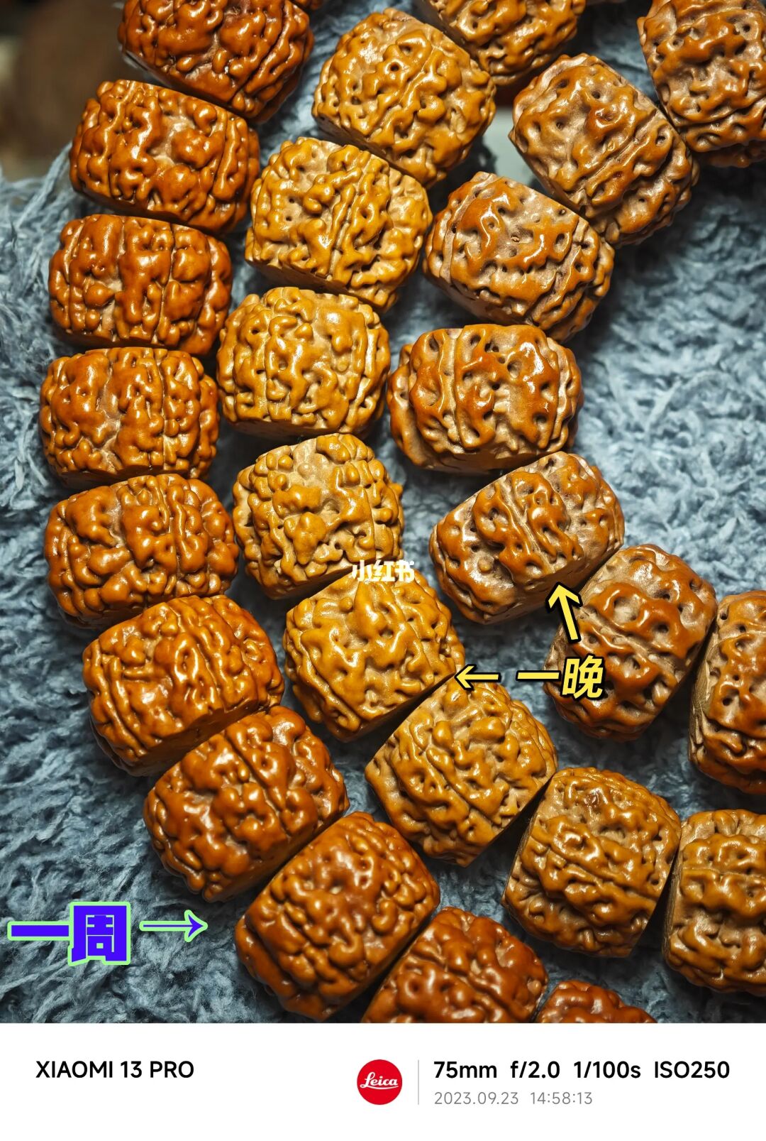 NO.266 一周VS一晚