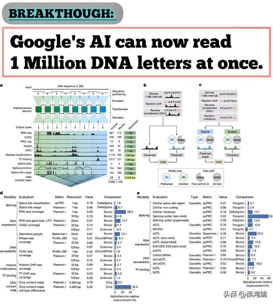 突破性进展：谷歌的人工智能现在可以一次性读取100万个DNA碱基。

谷歌旗下的