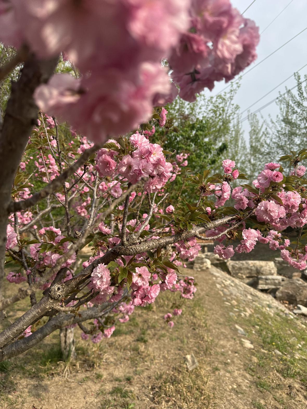 我的今日状态：😁轻松愉快
我这里的天气：☀️晴天