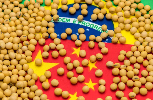 【巴西趁火打劫大涨价，中国买家不接招，转头买了20船阿根廷大豆】中国是全球最大的