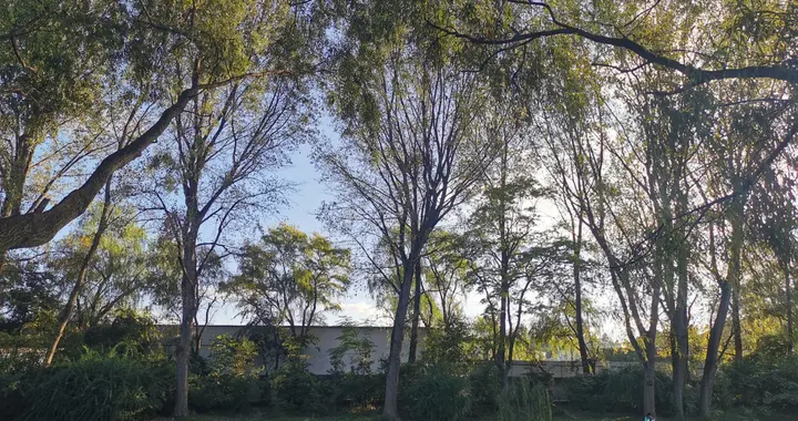 露营|贵阳花溪：慢游平桥赏秋景
