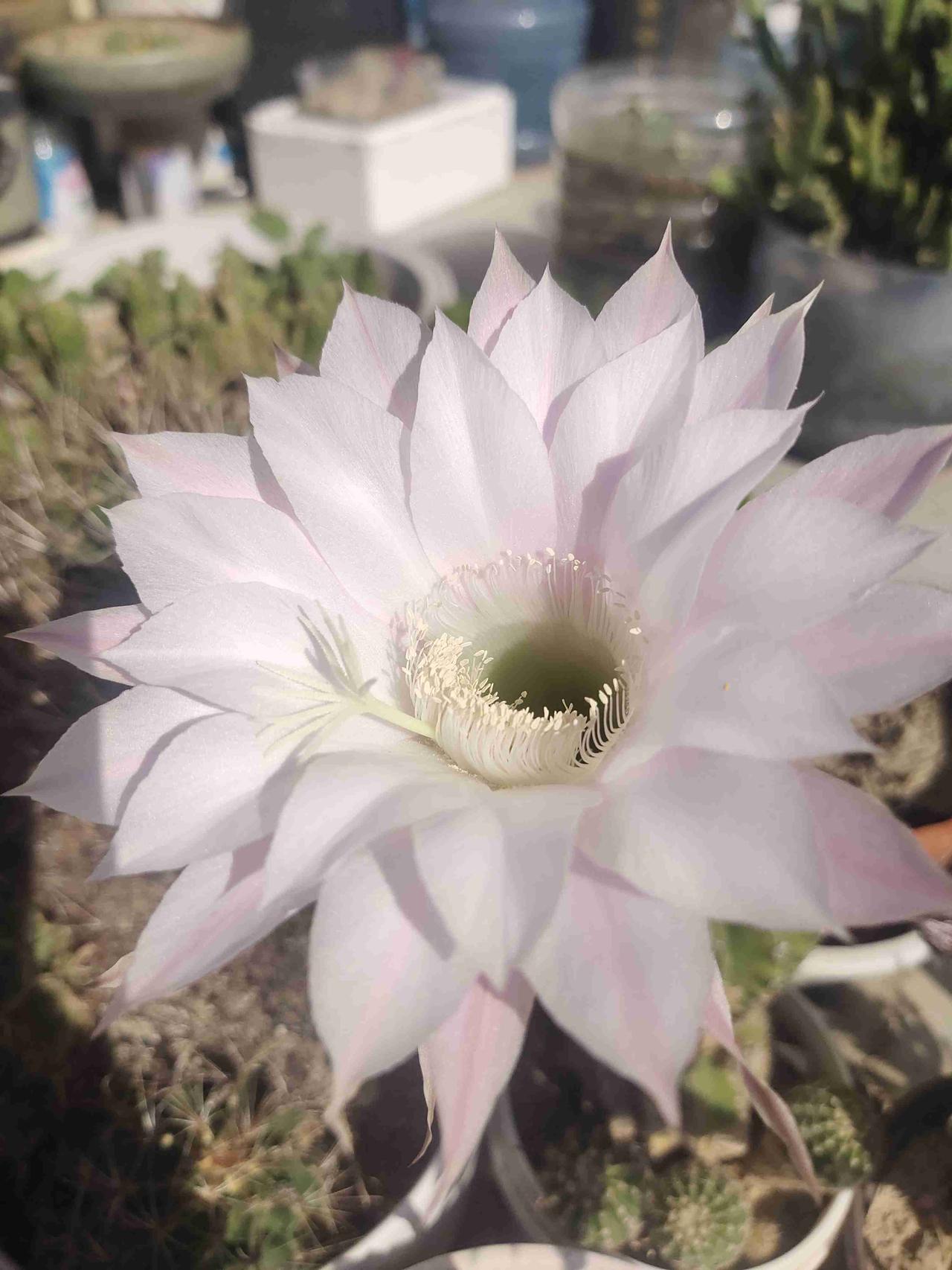 我的今日状态：😁轻松愉快
我这里的天气：☀️晴天