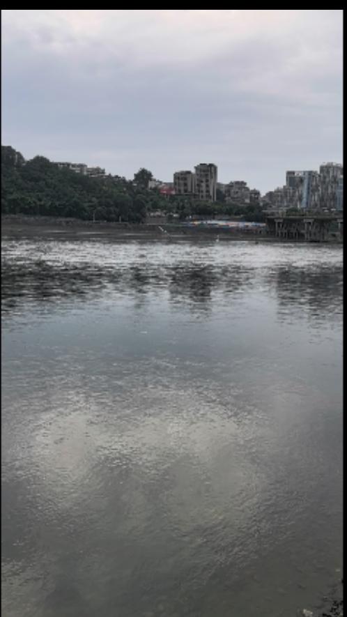 真心话茶局淅淅沥沥的下了一整天雨，汉江水都暴涨了，好在现在上下游都有水电站调库容