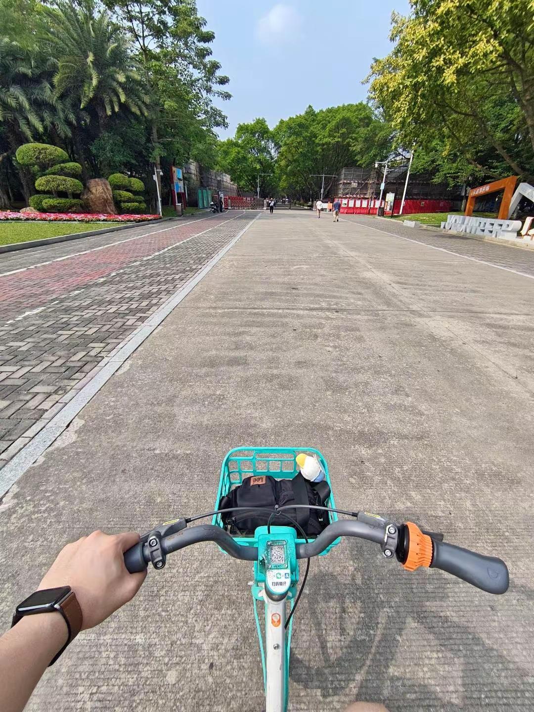 逃离城市！周末去大夫山骑行吸氧吧🌿🚲 周末出逃城市，来番禺大夫山森林公园吸氧