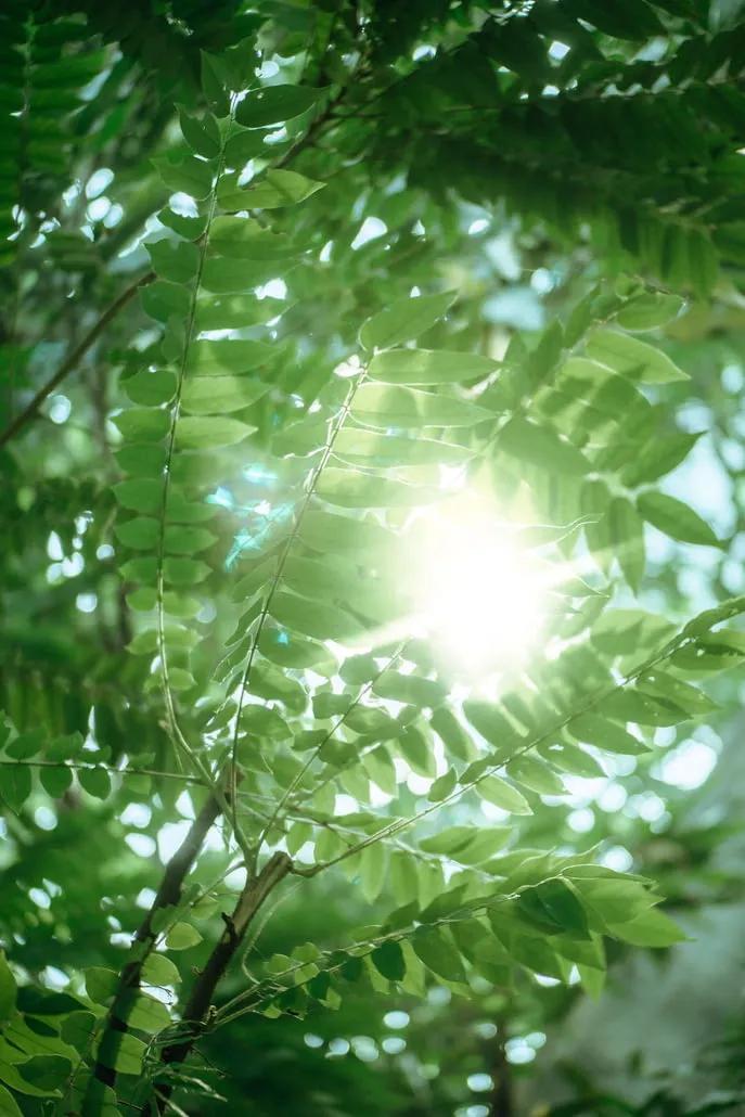 王阳明12岁这年，有一天王阳明突然间给他的老师提了一个意想不到的问题，人为什么要
