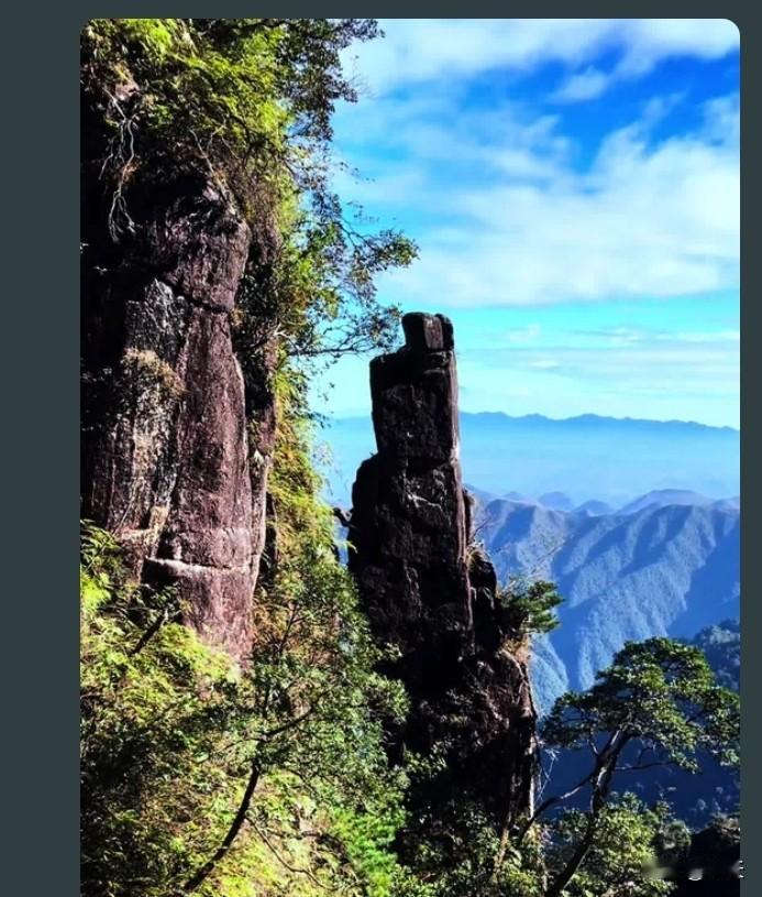 在职场上混，别把同事当成真心朋友，否则你就输了。同事之间，更多是利益相关的盟友，