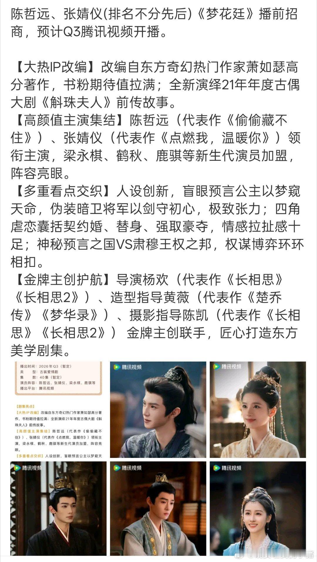 陈哲远张婧仪梦花廷播前招商，要来了