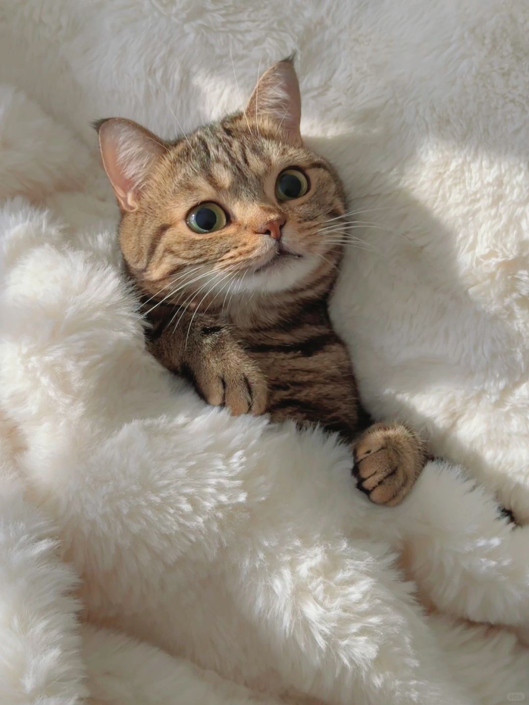 姨姨陪我在赖会床可以吗？