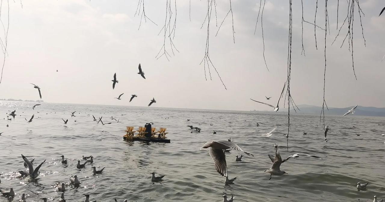 上上下下上下不易，诚邀下联 对对联还挺有趣的。上联“上上下下上下不易”有很多层意