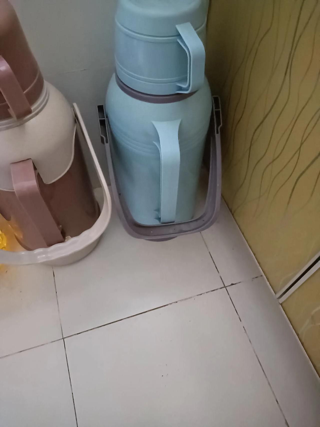 用开水可以去掉家里的飞虫，你们信吗？我是信了，亲自操作过，体验过。

天气热了，
