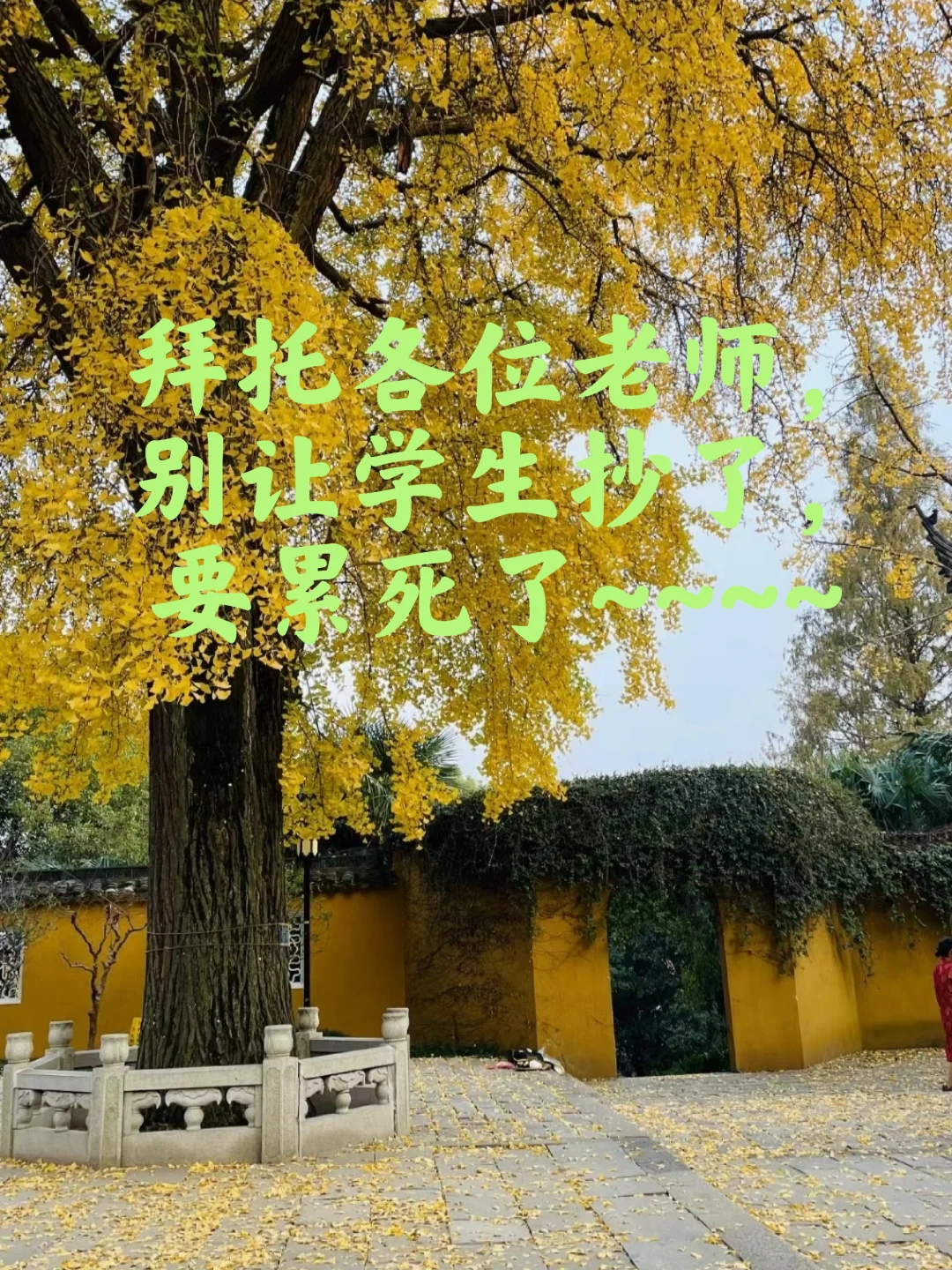别让学生抄了，累死了！