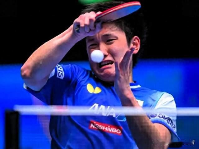0-3惨败！张本智和彻底被打回原形，4个真相戳碎所有吹捧