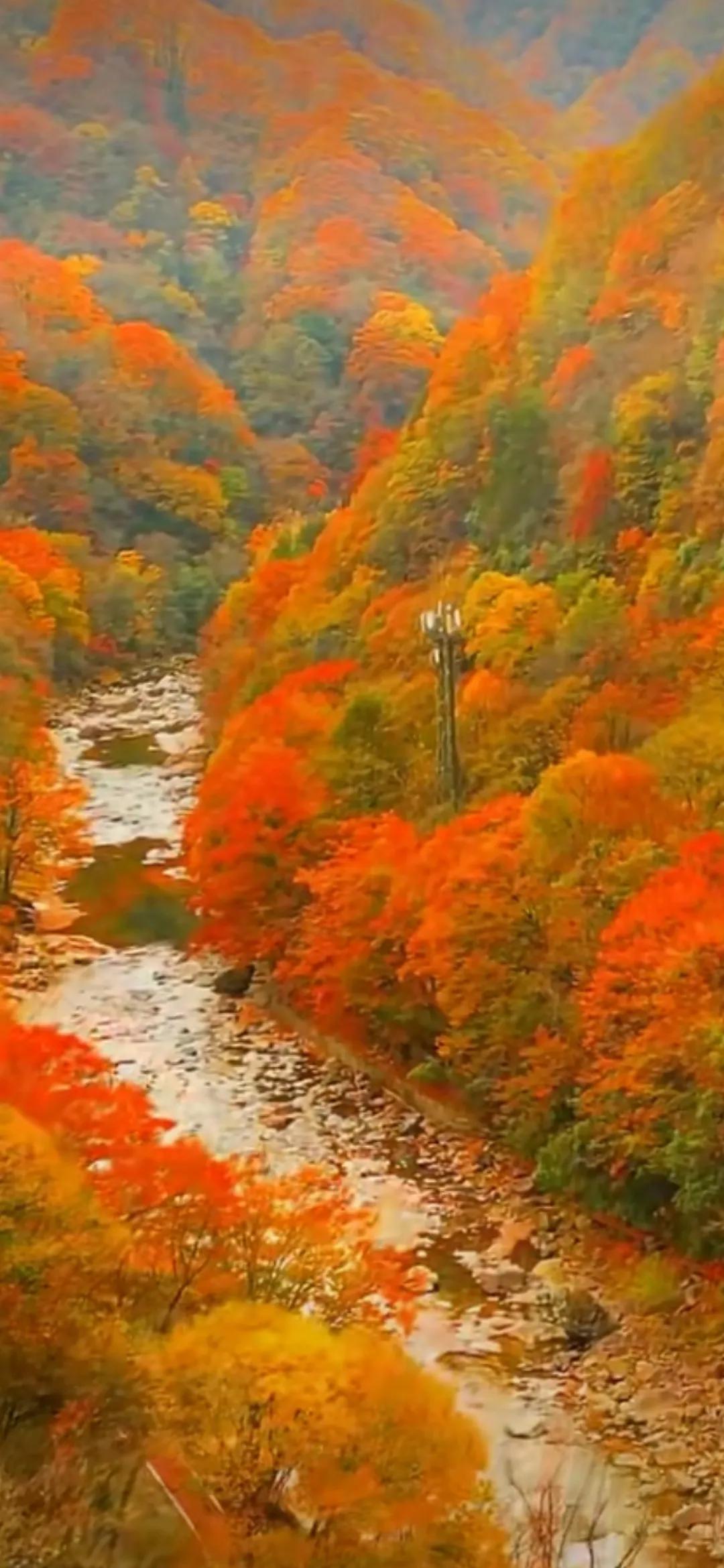 巴中光雾山红叶