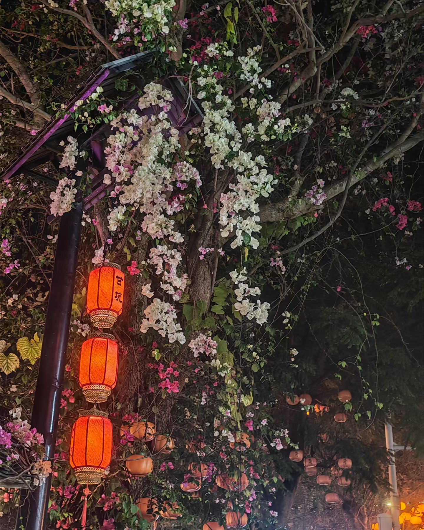 这一生要比任何人都爱自己，福由相生，相由心生，心由心善。 高敏感人能察觉到非常微