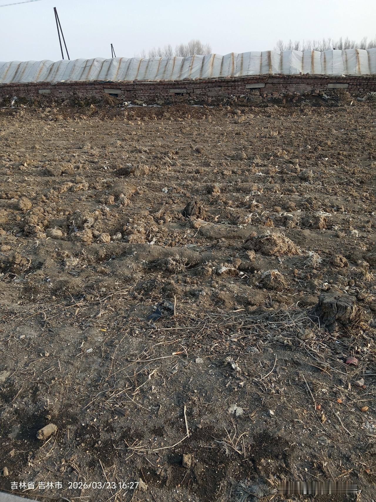 农田里的农家肥越来越多了
春天到了，雪还没化净呢，很多农民就开始忙了，虽然土还是