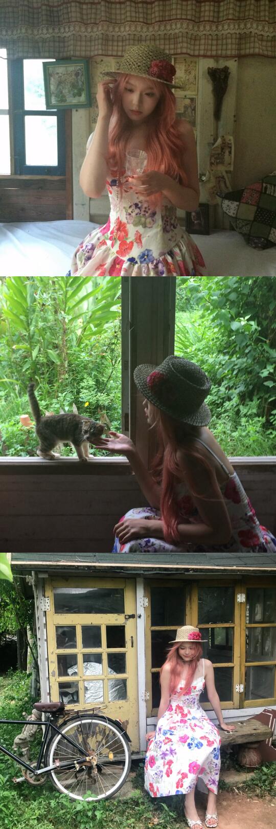 存一些阴天氛围感头像🍃