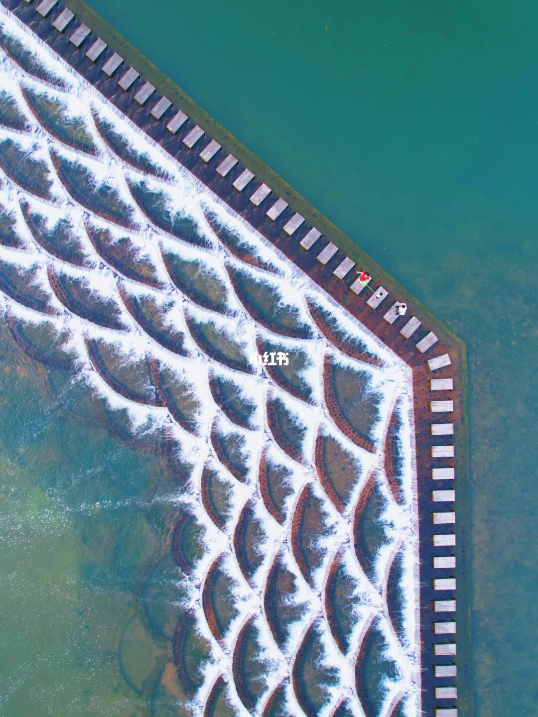 1年去8次！这是杭州夏天的玩水顶流地