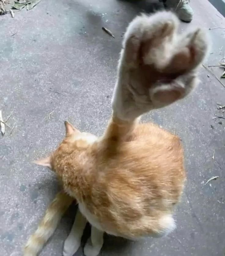 分享图片 ​​​