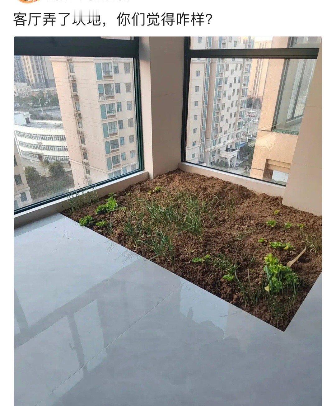 客厅弄了块地，真是个人才啊！ ​ ​​​