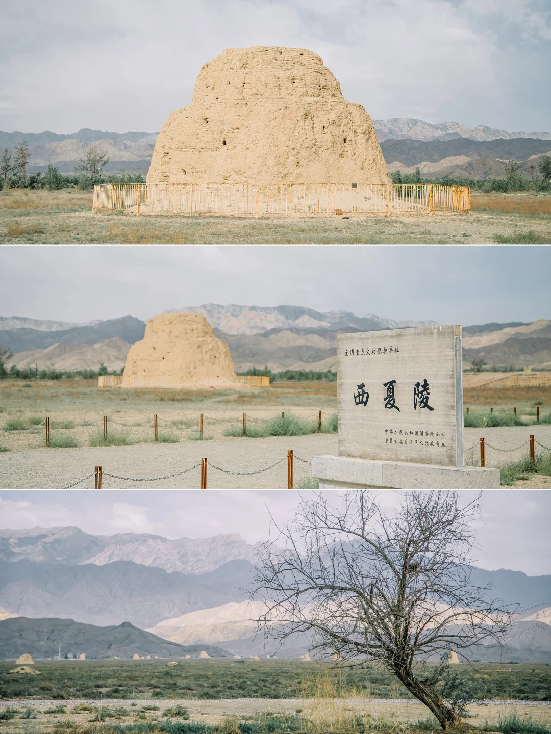 看到西夏王陵申遗成功的消息差点哭出来