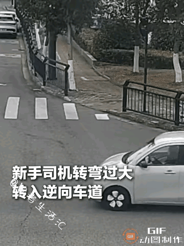 这驾照是买来的吗？还是说这是一个老头乐呢？
       最佩服第一辆停下来的车