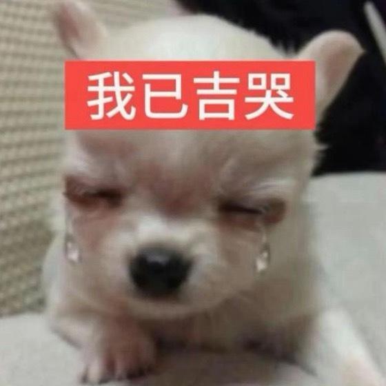怎么看到说古茗的杯子有的已经没了 我下班才能去拿我好着急。。。。。 