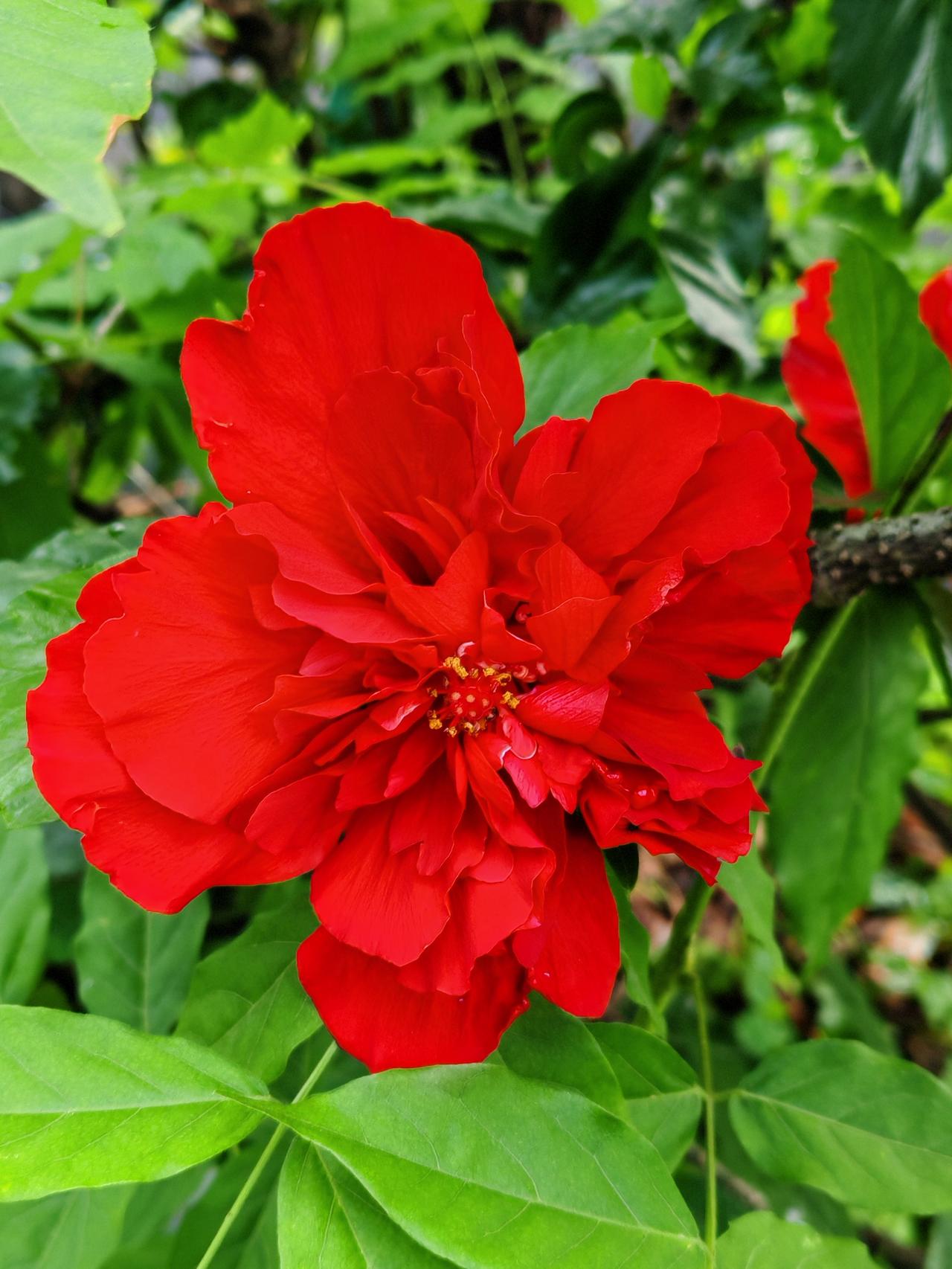 晒图笔记大赛北京车展征文没流量，那么认真地写，5篇发出去几小时才两三百阅读量，不