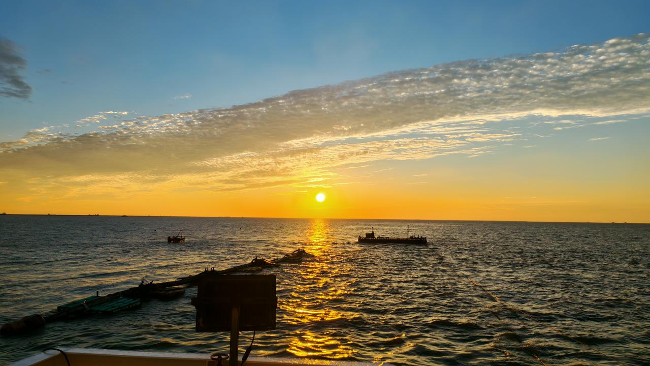 今天这夕阳美得不像话，橙红色的余晖洒在大地上，就像给世界镀上了一层金。正好把这份