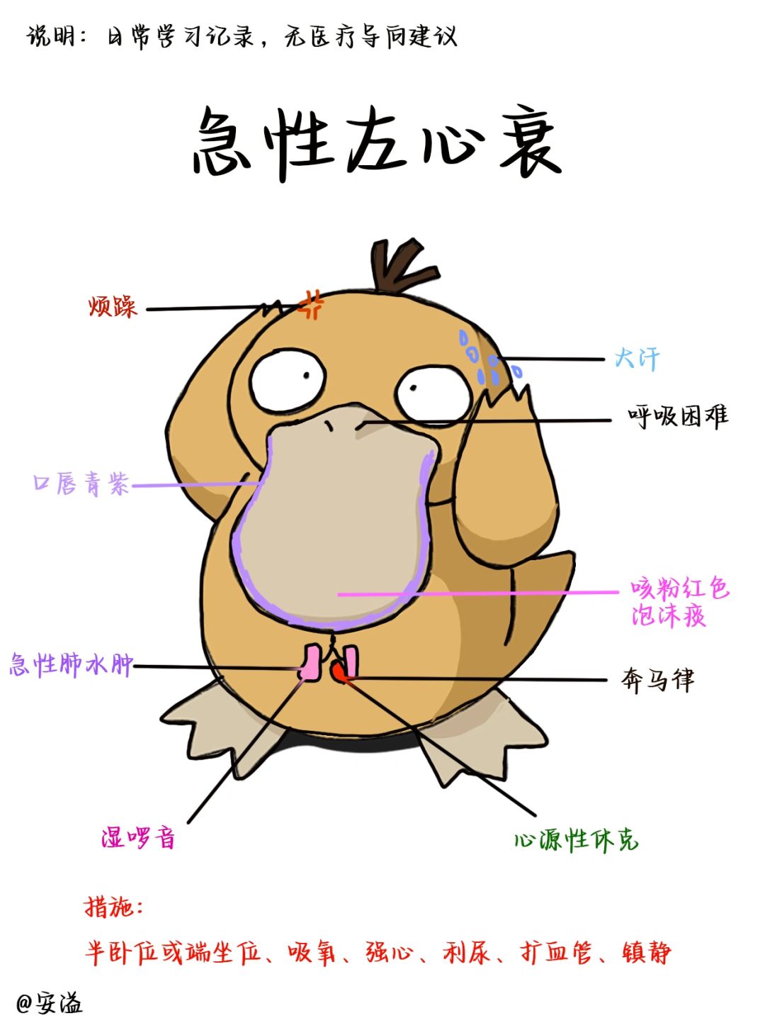 医学生绘本笔记‖急性左心衰