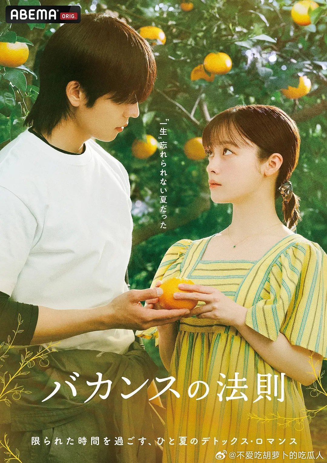 今日新剧上线 桥本环奈、蔡钟协主演的日剧度假法则今日上线，共18集，每集15分钟