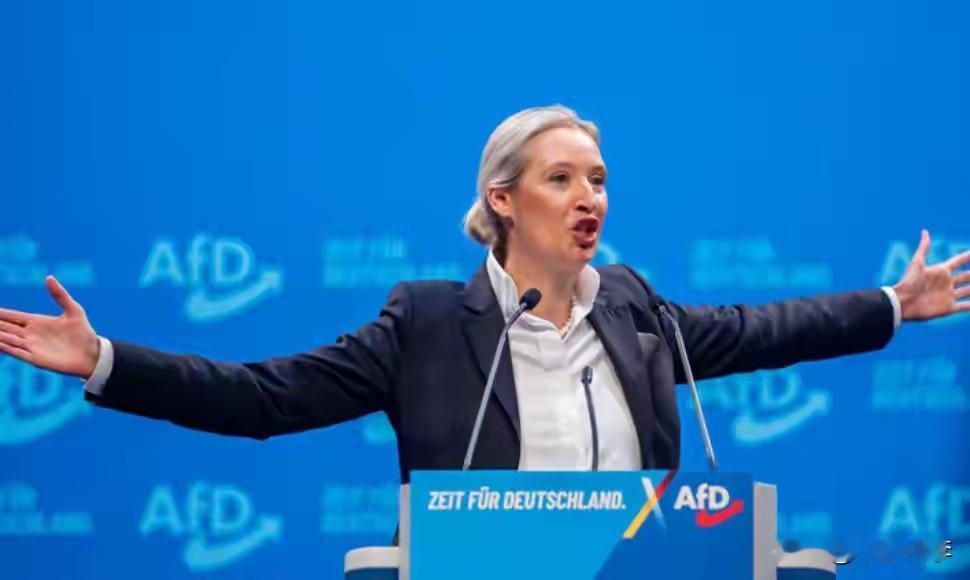 德国选择党（AfD）无疑是当前德国政坛最受争议的存在。它与传统政党究竟有何不同？