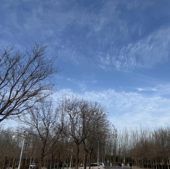 年轻人最省钱的法子，就是：早点睡觉，自己做饭！

一到晚上，手机一刷，卖零食的，