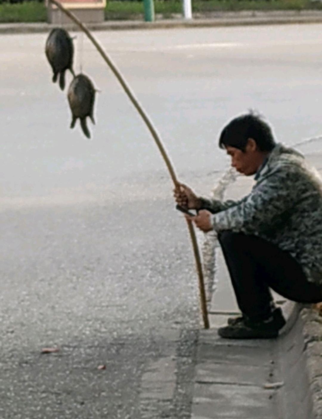 商人于美以伊之战之今局，绝无预判。除得丛林强人之骂名外，战略目的无一得成，伊朗虽