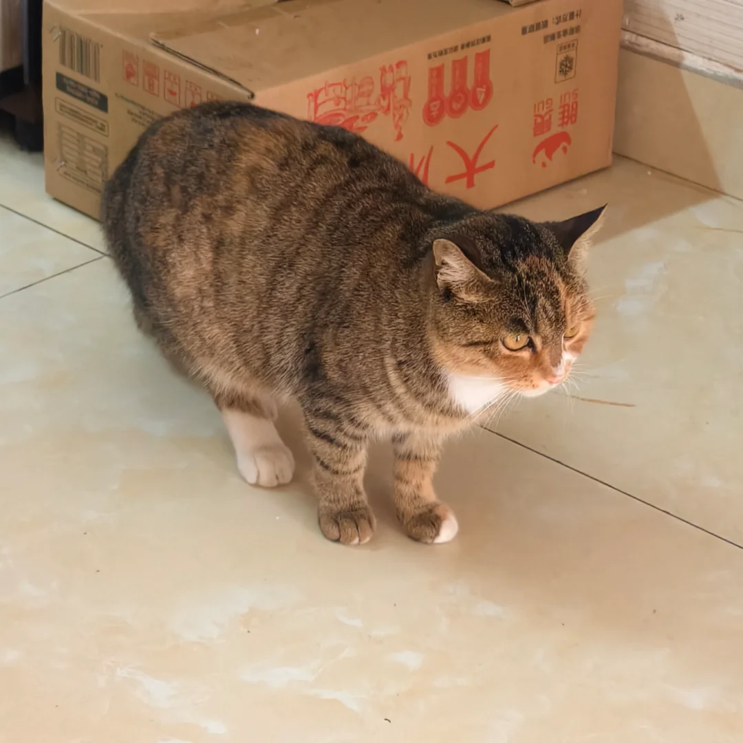 车也修了，街也逛了，美好的周日