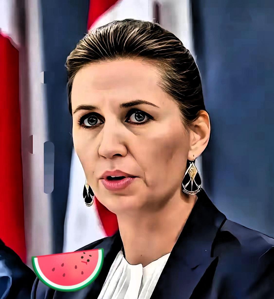 就在刚刚。
 
丹麦突然宣布了。
 
11月15日，丹麦称向乌克兰提供一批价值8