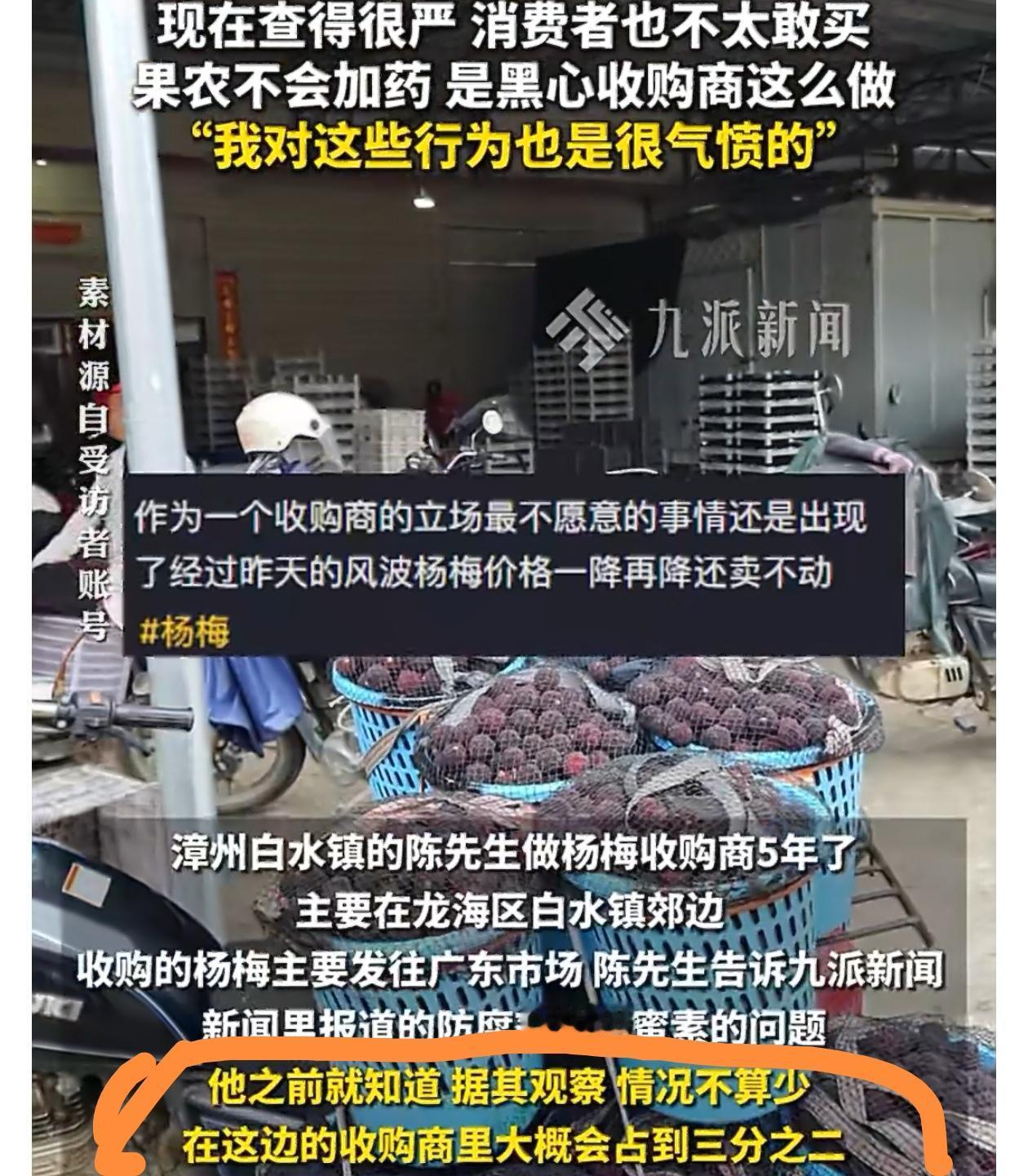 太可怕了，杨梅收购商自曝泡药水杨梅早就有了，只是之前没被曝光，大家也是睁一只眼闭