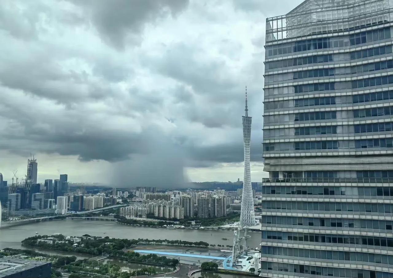 站得高，才能看见哪里下雨，哪里先下雨。